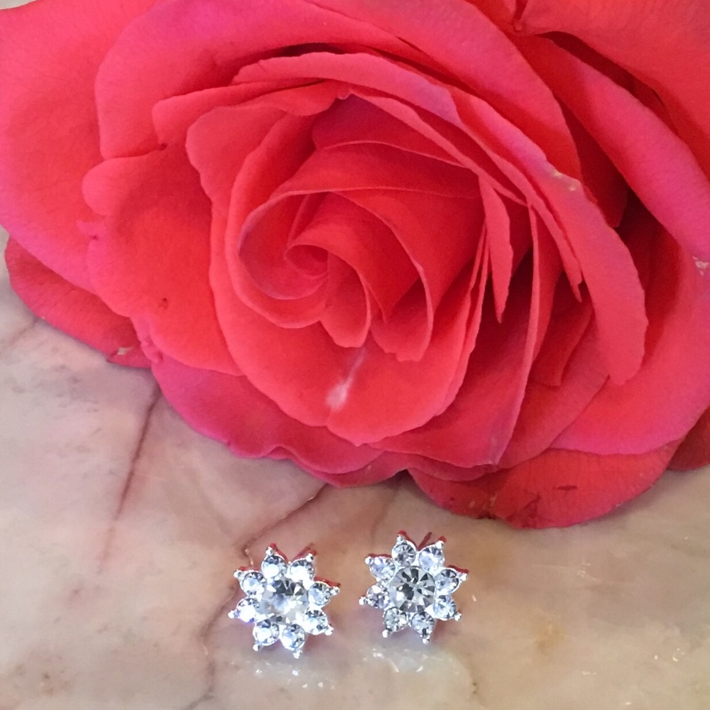 Sweet Rhinestone Snowflake Earrings